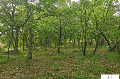 Terrain  76500 €