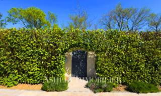 Maison 4 Pièces 138 m² à vendre à Saint-Sauveur-d'Aunis (17540)