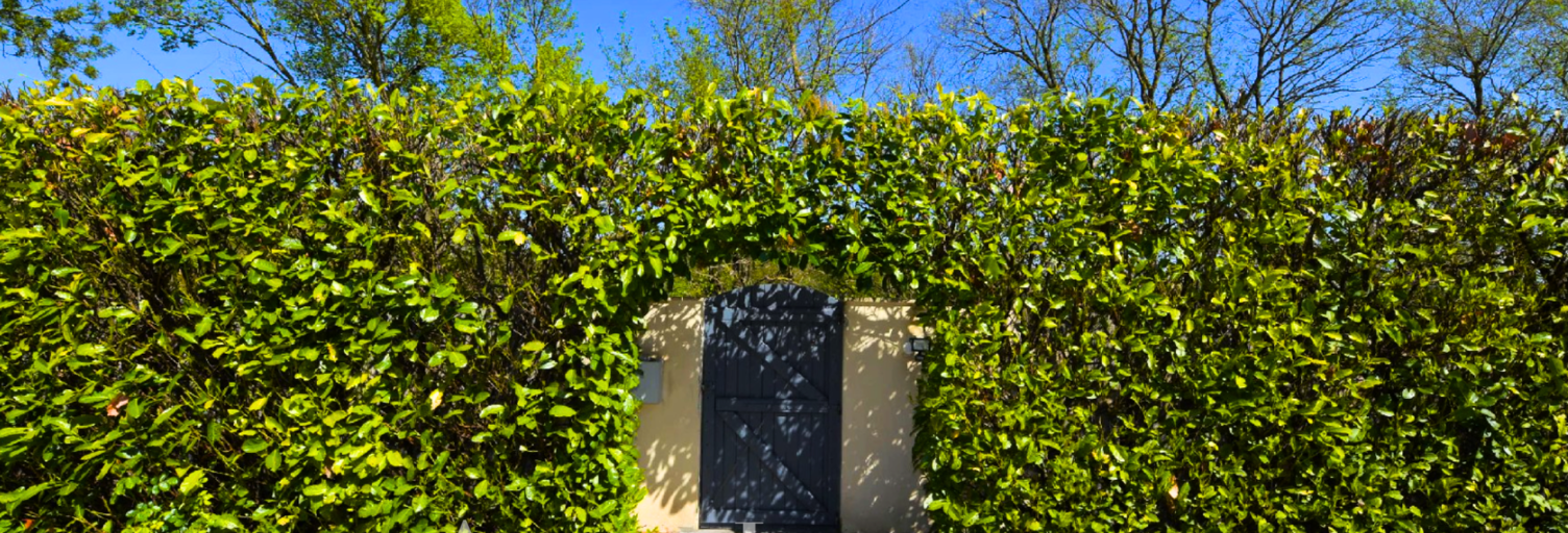 Maison 4 Pièces 138 m² à vendre à Saint-Sauveur-d'Aunis (17540)