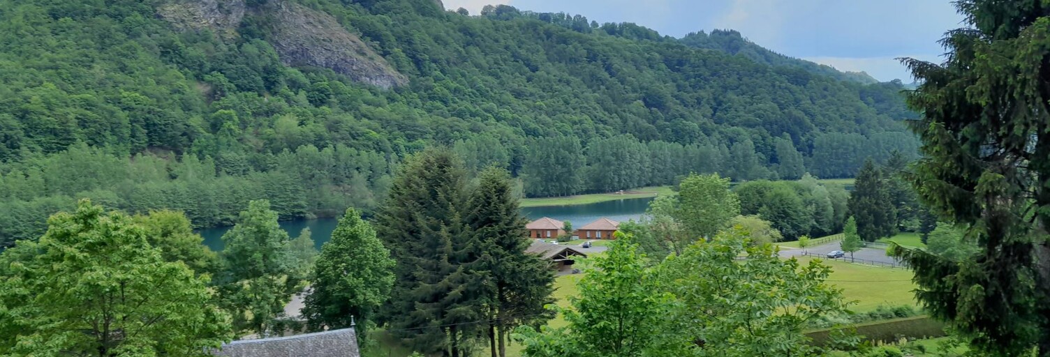 Maison 15 Pièces 453 m² à vendre à Aurillac (15000)