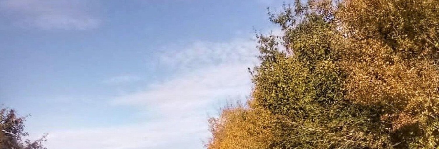 Terrain  697767 m² à vendre à Benon (17170)