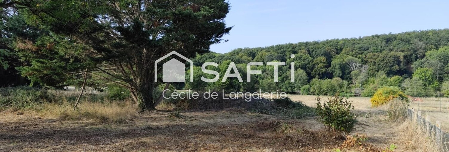 Terrain  6683 m² à vendre à Pouligny-Saint-Pierre (36300)