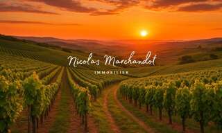 Commerce  130900 m² à vendre à Lantignié (69430)