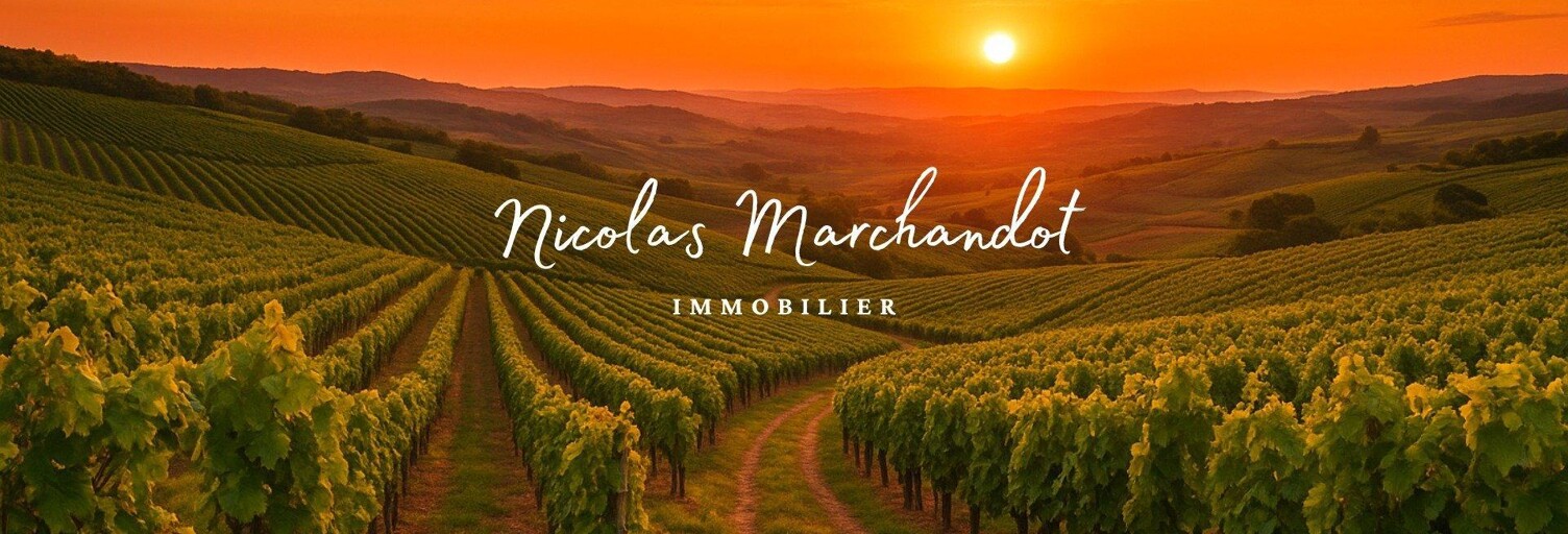 Commerce  130900 m² à vendre à Lantignié (69430)