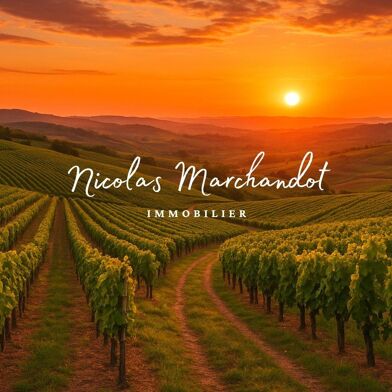 Commerce  1500000 €