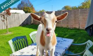 Appartement 2 Pièces 40 m² à vendre à Eysines (33320)