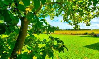 Terrain  600 m² à vendre à Baugé-en-Anjou (49150)