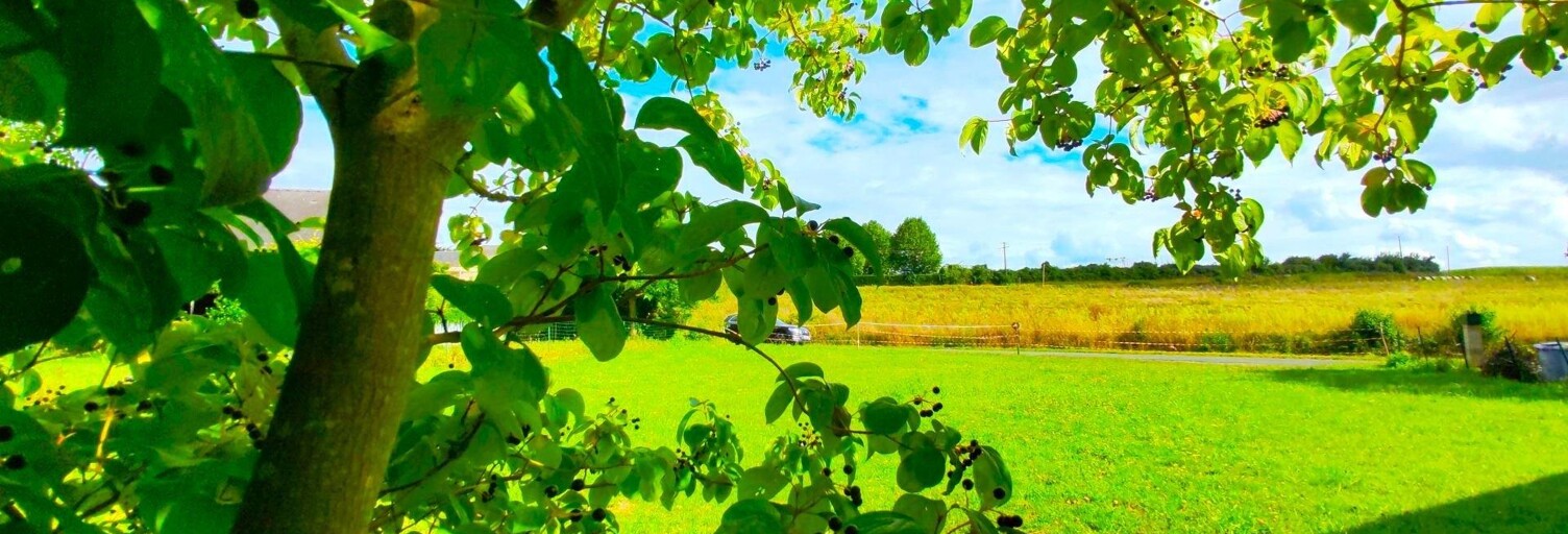 Terrain  600 m² à vendre à Baugé-en-Anjou (49150)