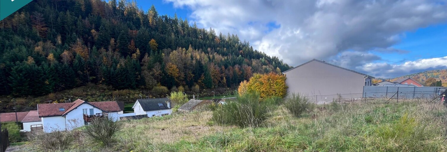 Terrain  941 m² à vendre à Saint-Nabord (88200)