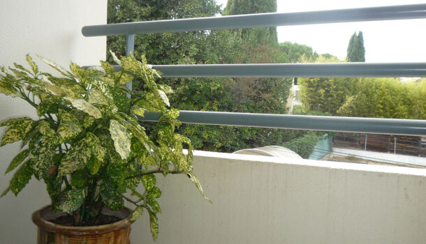 Appartement 3 pièces  à vendre Montpellier 34000