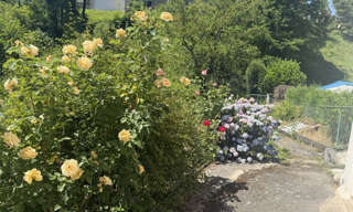 Photo N° 2