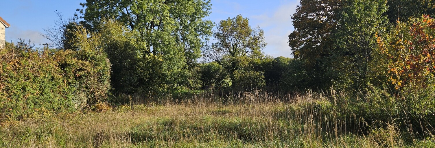 Terrain  1403 m² à vendre à Maisey-le-Duc (21400)