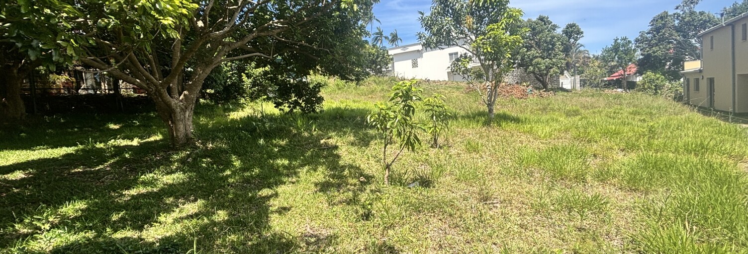 Terrain  1000 m² à vendre à Saint-Pierre (97410)