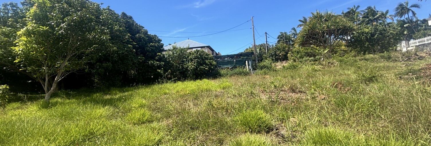 Terrain  1000 m² à vendre à Saint-Pierre (97410)