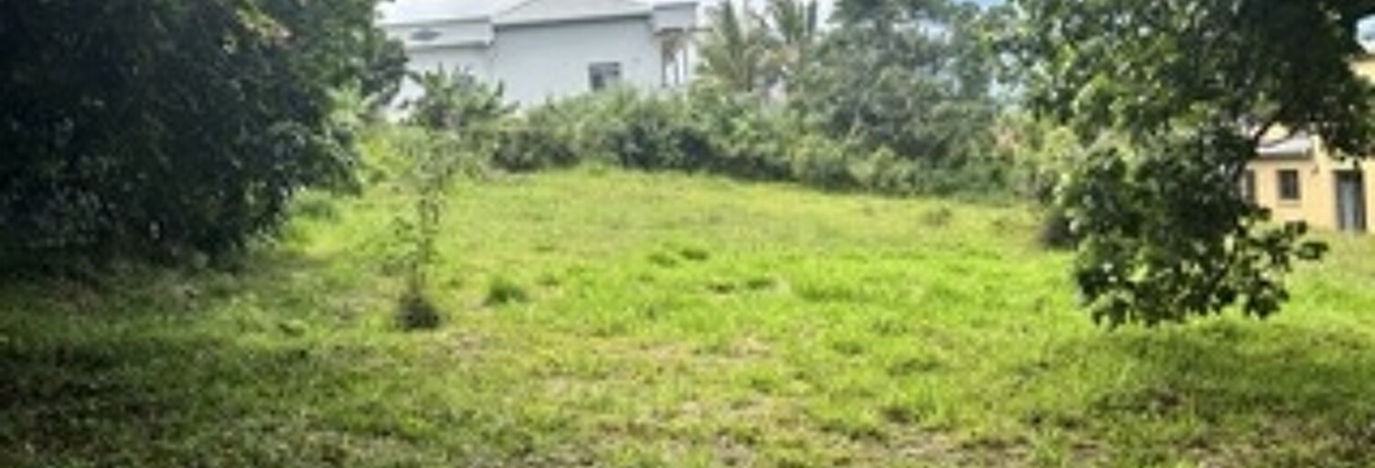 Terrain  1000 m² à vendre à Saint-Pierre (97410)