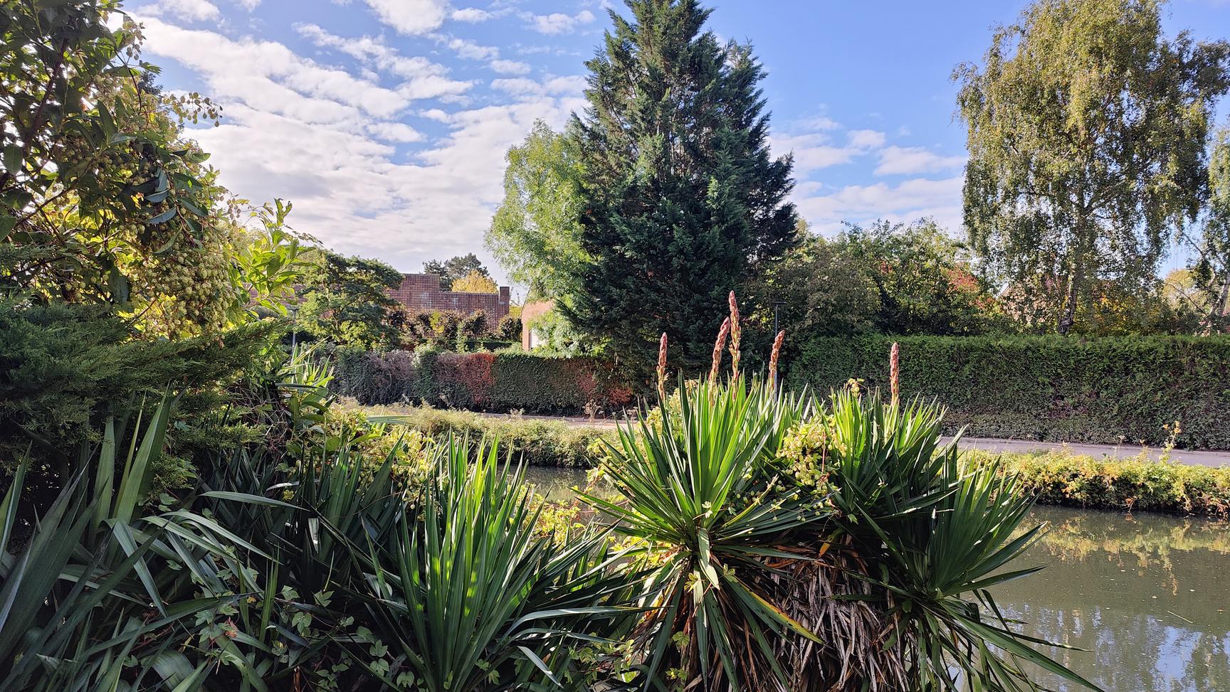 Agence immobilière de Espace Foch