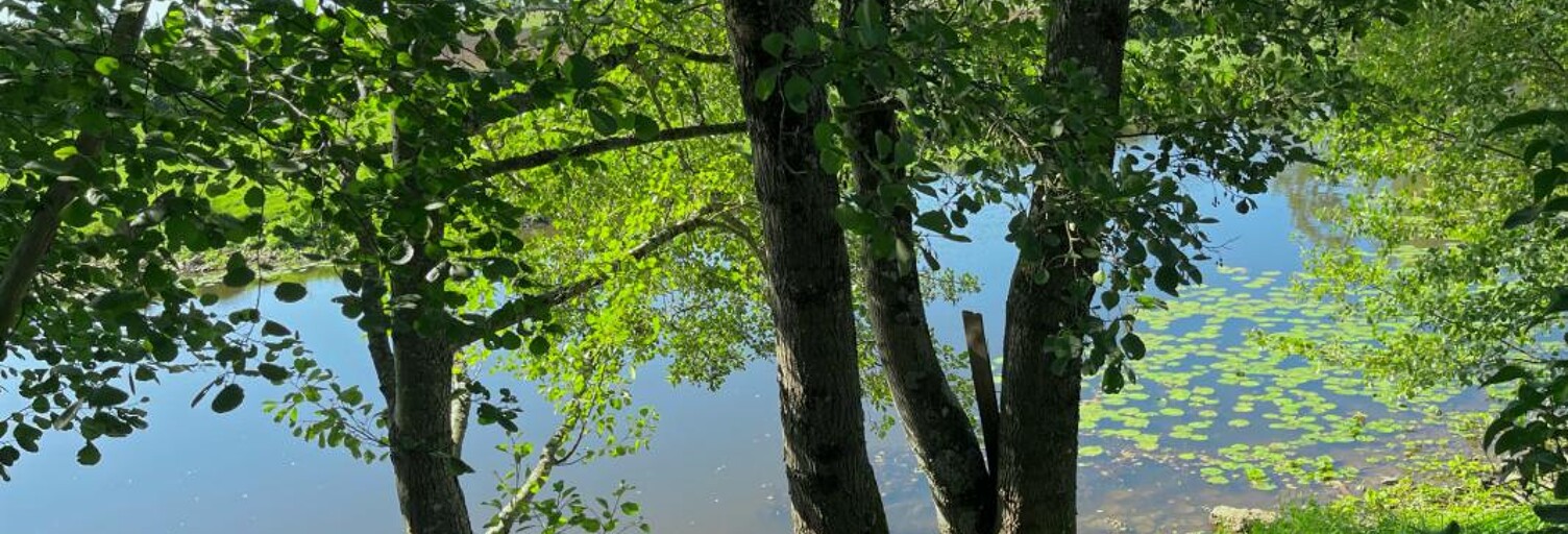 Terrain  7280 m² à vendre à Guillon-Terre-Plaine (89420)