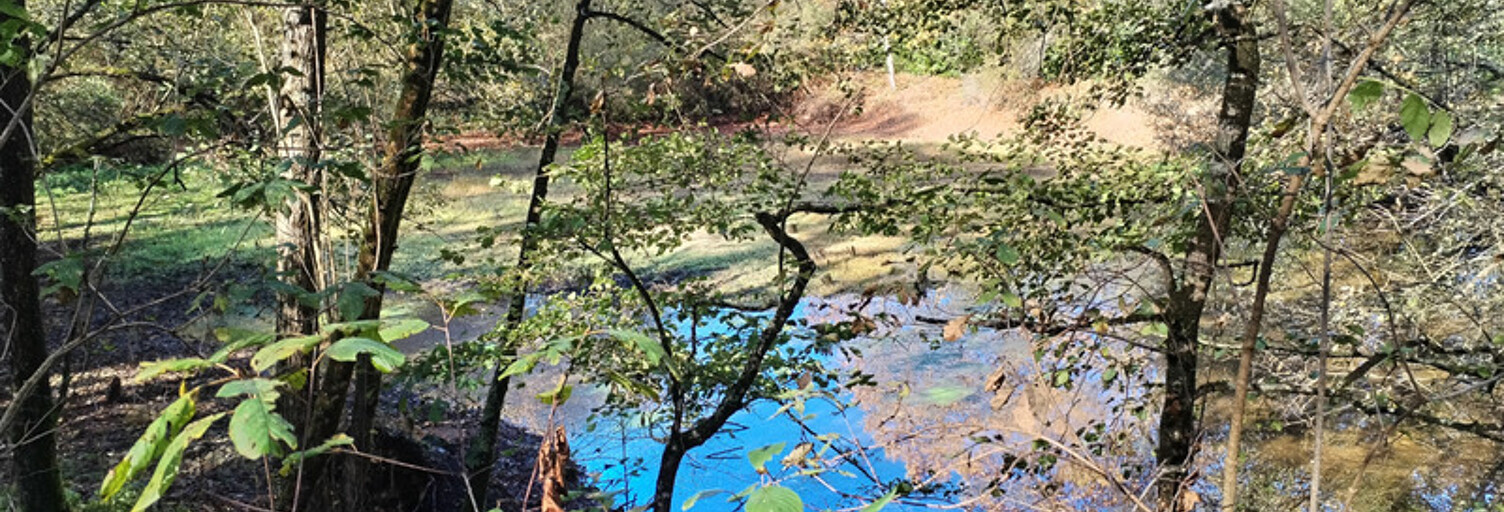 Terrain  6660 m² à vendre à Amou (40330)