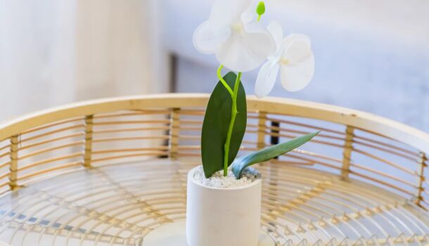 Appartement 2 pièces  à vendre Marseille 6eme 13006