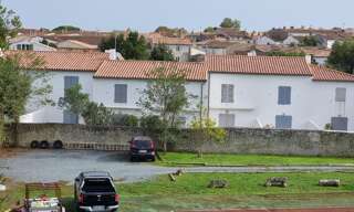 Appartement 1 Pièce 34 m² à louer à Saint-Martin-de-Ré (17410)