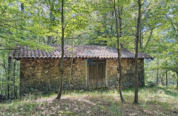 Propriété agricole avec 4 granges - 16 ha de terrains - LABOULE (07) — photo 2