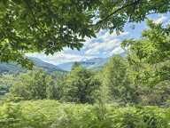 Propriété agricole avec 4 granges - 16 ha de terrains - LABOULE (07) — photo 3