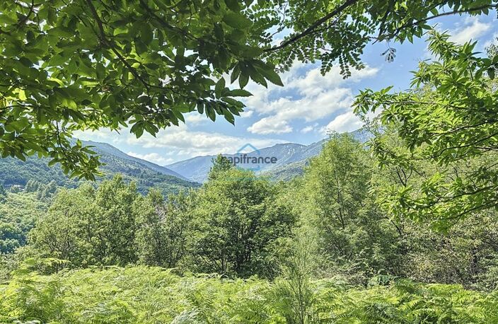 Propriété agricole avec 4 granges - 16 ha de terrains - LABOULE (07) — photo 3