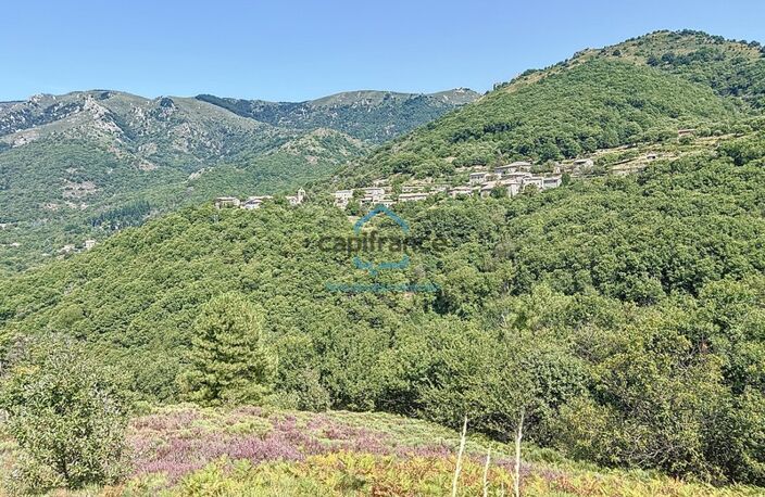 Maisons à vendre 12 pièces LABOULE (07) - Terrain 3 ha 25 a — photo 2
