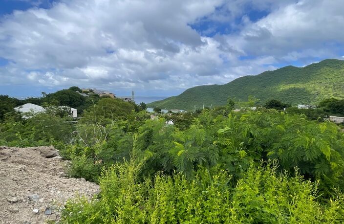 TERRAIN CONSTRUCTIBLE À VENDRE AVEC VUE MER ET MARINA D'ANSE MARCEL, SAINT MARTIN (97150) — photo 2