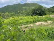 TERRAIN CONSTRUCTIBLE À VENDRE AVEC VUE MER ET MARINA D'ANSE MARCEL, SAINT MARTIN (97150) — photo 4