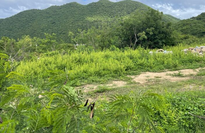 TERRAIN CONSTRUCTIBLE À VENDRE AVEC VUE MER ET MARINA D'ANSE MARCEL, SAINT MARTIN (97150) — photo 4