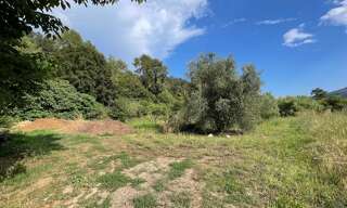 Terrain  8136 m² à vendre à Pégomas (06580)