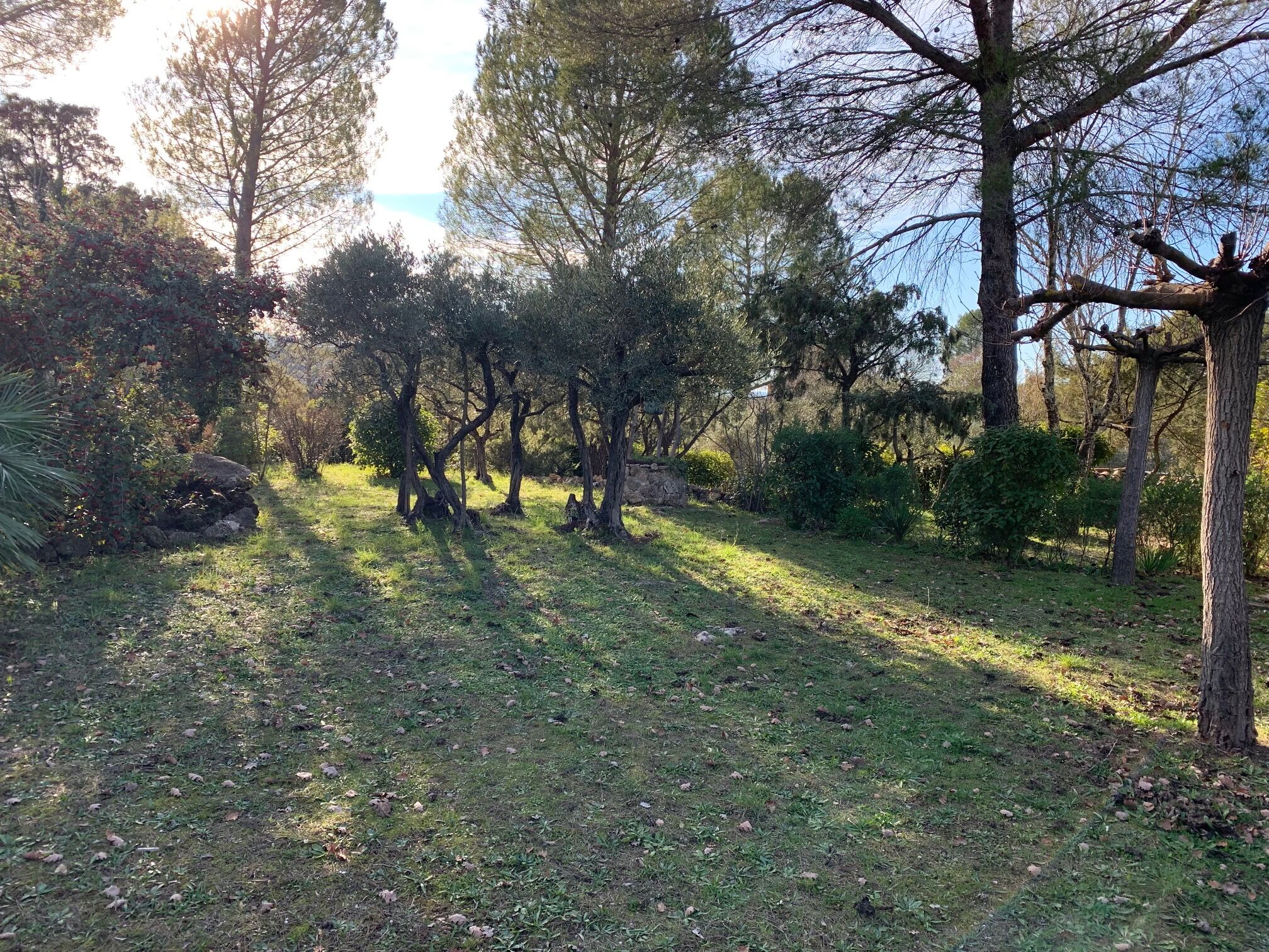 Terrain  à vendre Carcès 83570