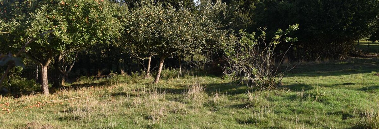 Terrain  1778 m² à vendre à Cheppy (55270)