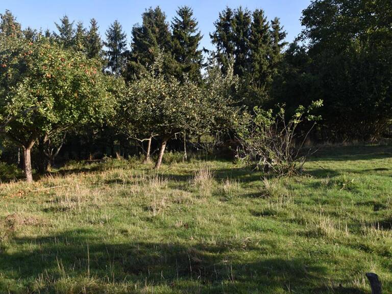 Terrain Constructible Cheppy 1778 m2 — photo 1