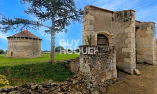 Maison 8 Pièces 205 m² à vendre à Saint-Martin-la-Pallu (86380)