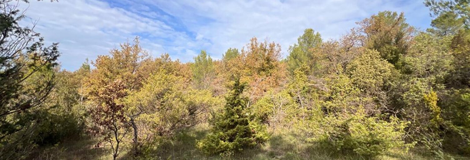 Terrain  2855 m² à vendre à Rians (83560)