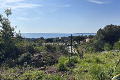 Terrain  770500 €