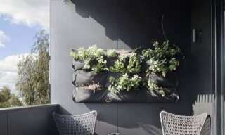 Appartement 1 Pièce 50 m² à vendre à Entzheim (67960)