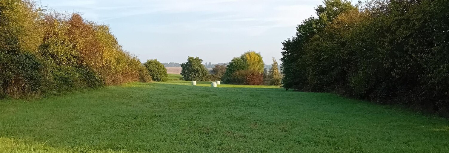 Terrain  5024 m² à vendre à Kirviller (57430)