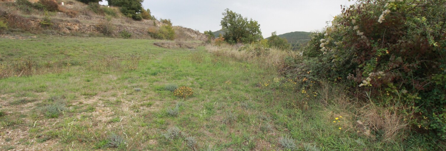 Terrain  786 m² à vendre à Saint-Rome-de-Tarn (12490)