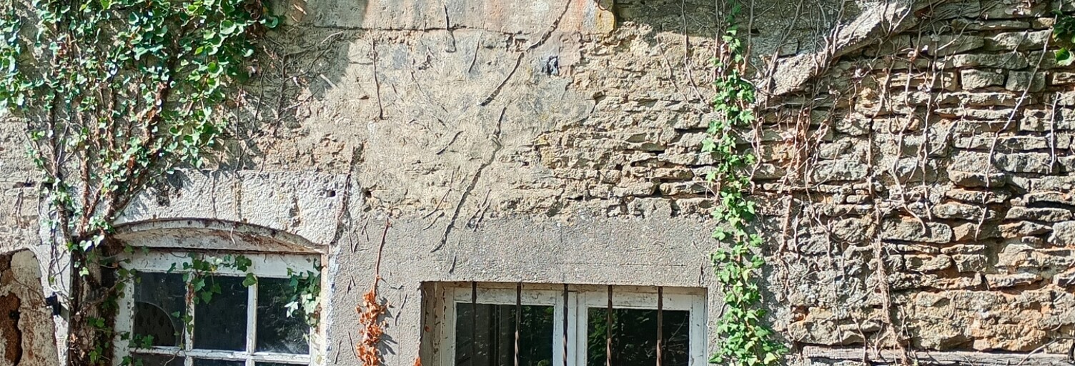 Maison 3 Pièces 70 m² à vendre à Andelot-Blancheville (52700)