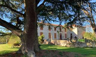 Maison 22 Pièces 624 m² à vendre à Mauroux (32380)