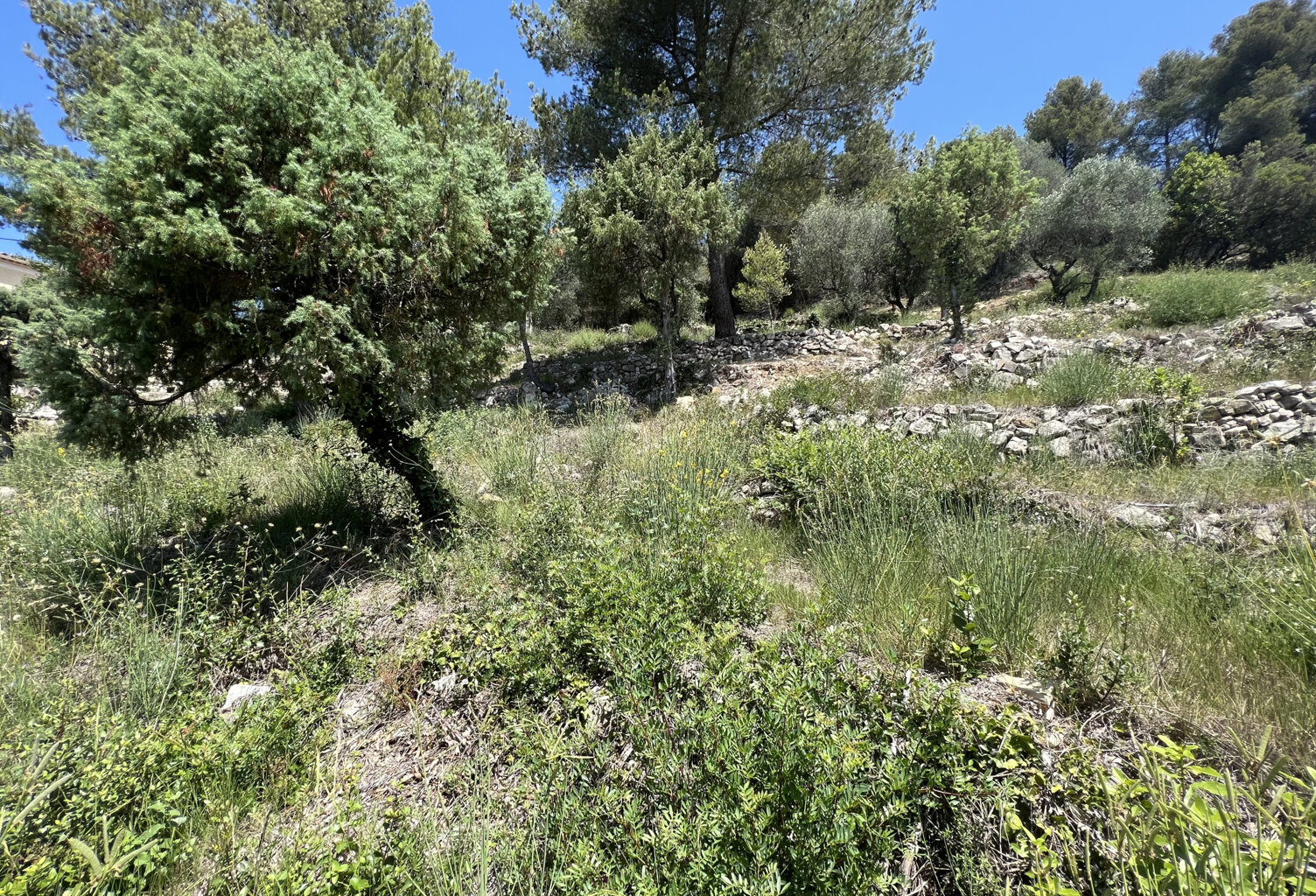 TERRAIN CONSTRUTIBLE  2 452 M2 — photo 1