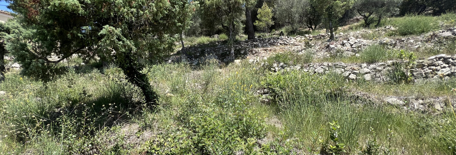 Terrain  2452 m² à vendre à Tourrette-Levens (06690)