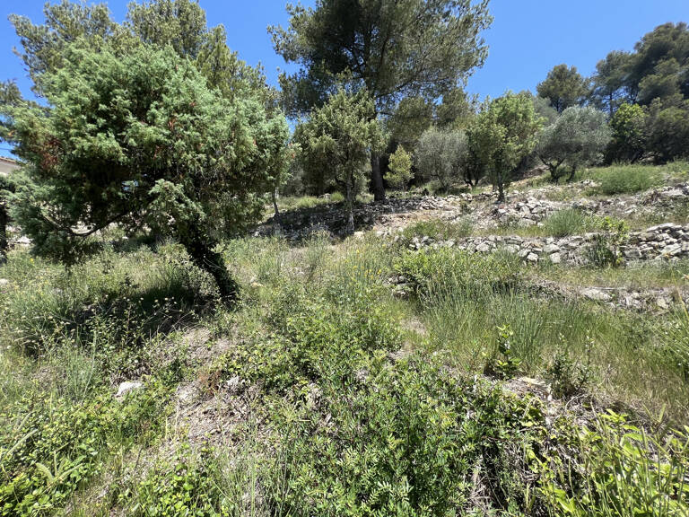 TERRAIN CONSTRUTIBLE  2 452 M2 — photo 1