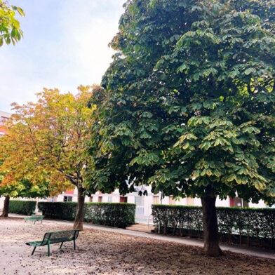 Appartement 3 pièces 155000 €