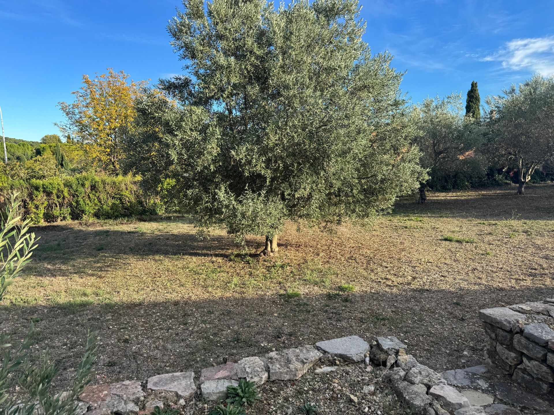 Terrain  à vendre Lorgues 83510