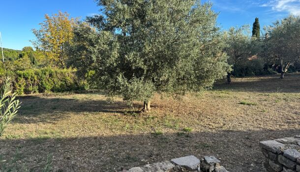 Terrain  à vendre Lorgues 83510