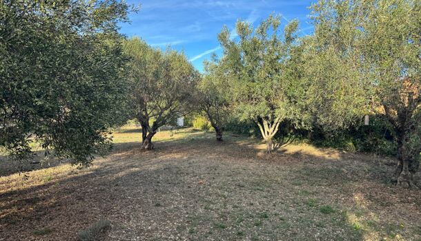 Terrain  à vendre Lorgues 83510